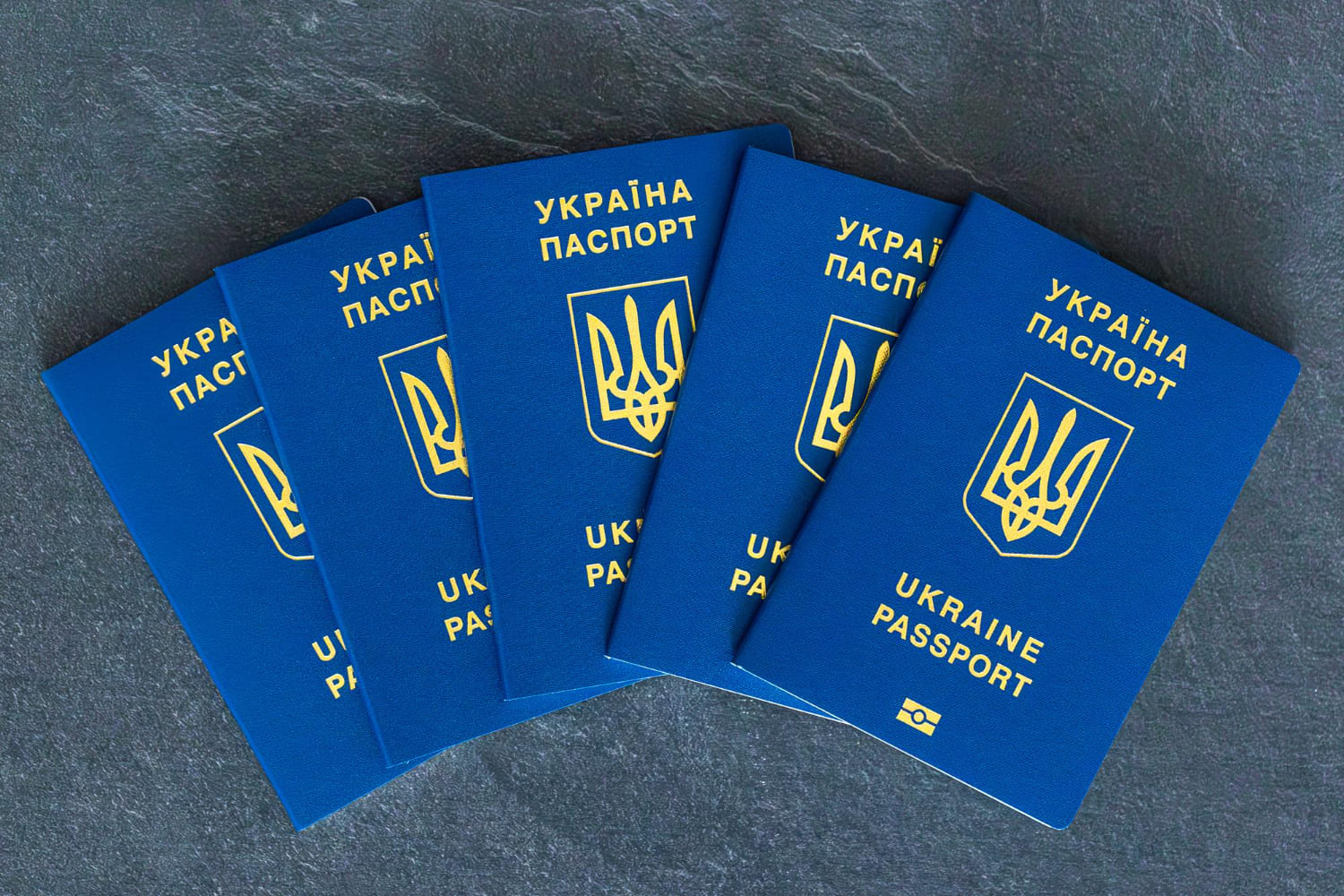 Можно ли пересечь украинскую границу без загранпаспорта в 2025 году? Можно ли пересечь украинскую границу без загранпаспорта в 2025 году?